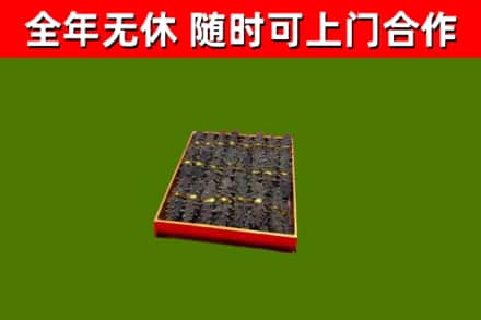 马村区回收海参